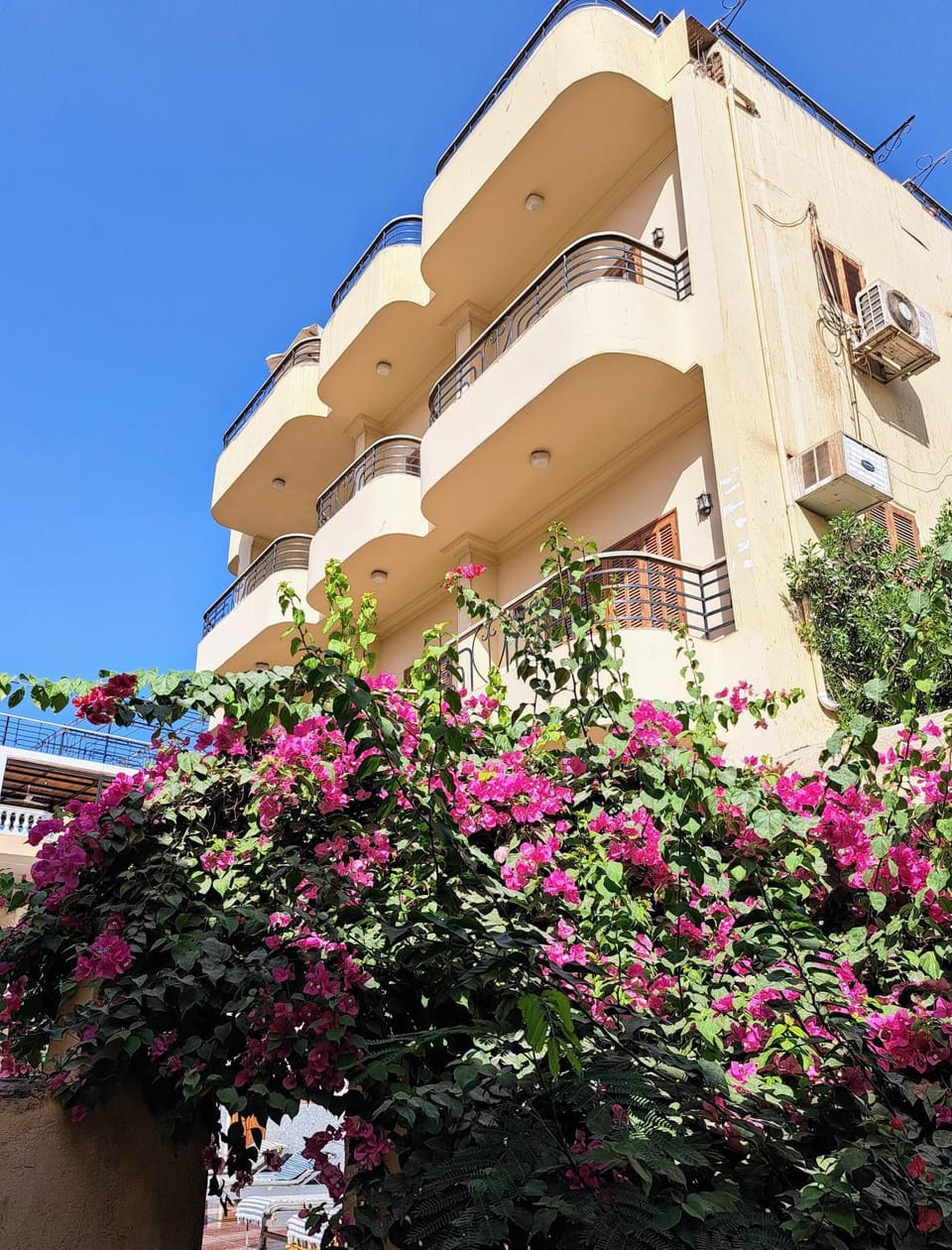 Villa Belzoni Apartment in Luxor