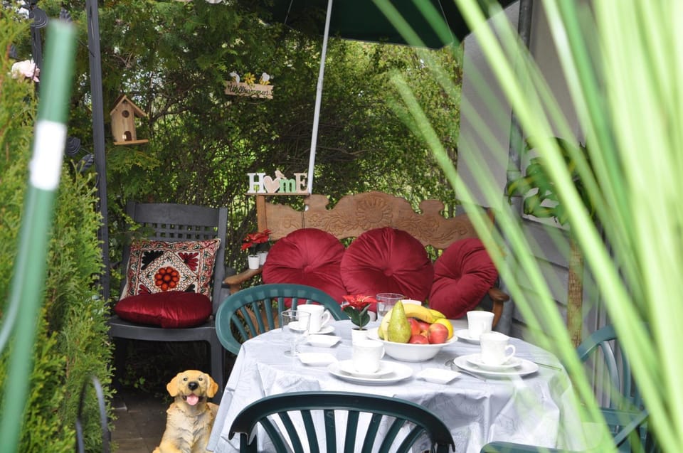 Garden, Seating area