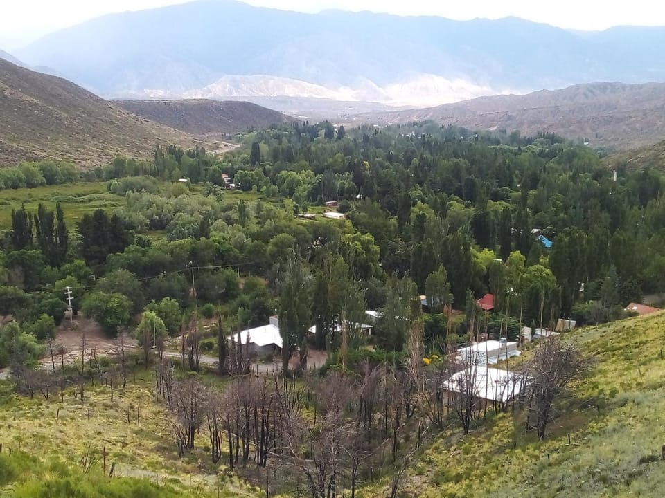 Spring, Mountain view