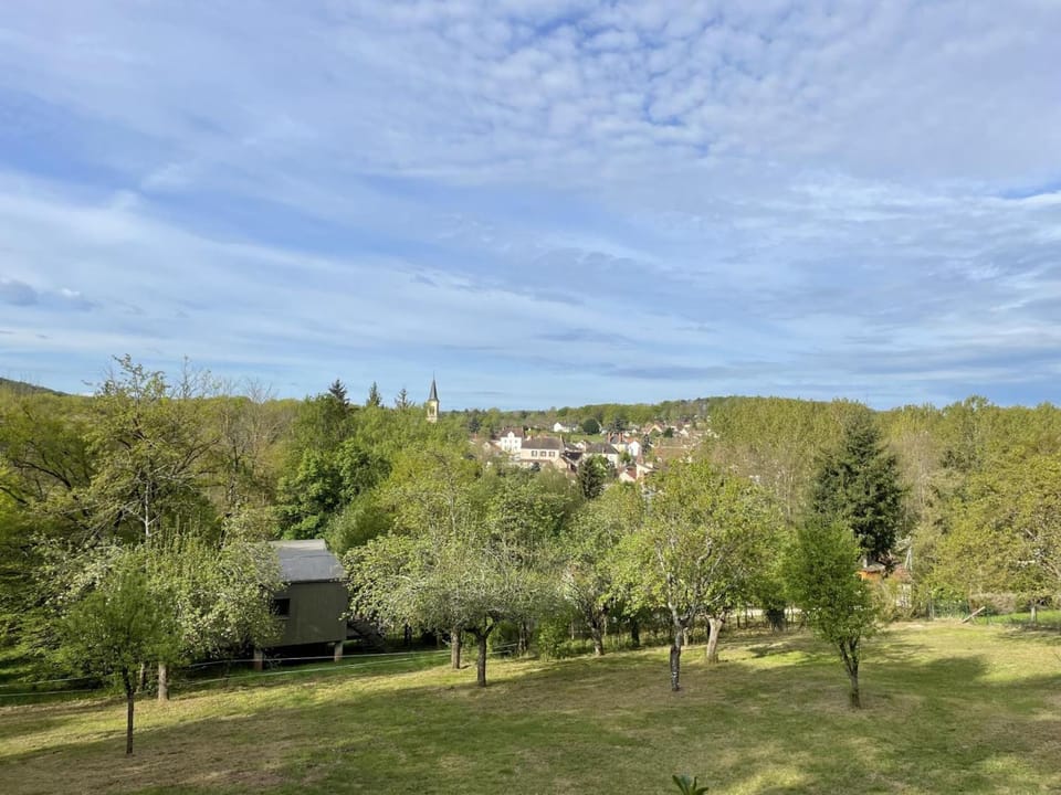 Chalet confortable en forêt avec animaux admis Apartment in Auvergne-Rhône-Alpes