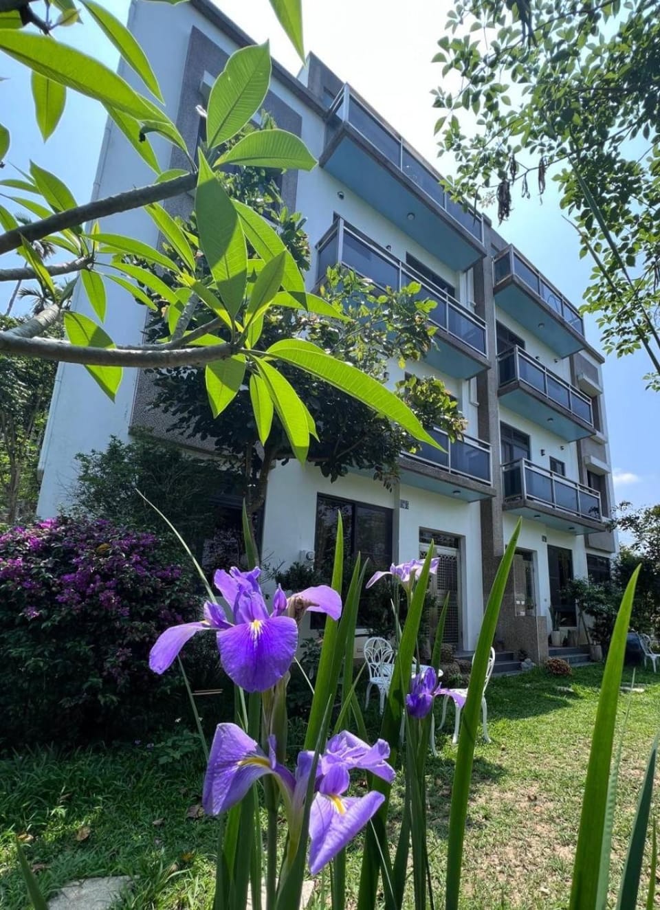 Property building