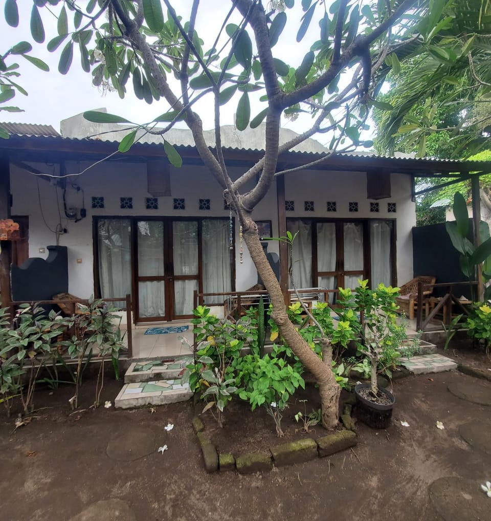 Property building, Garden, Garden view