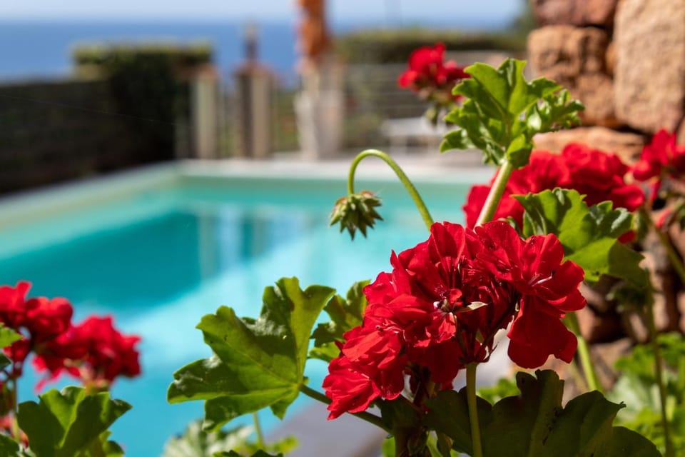Natural landscape, Garden, Garden view, Pool view, Swimming pool