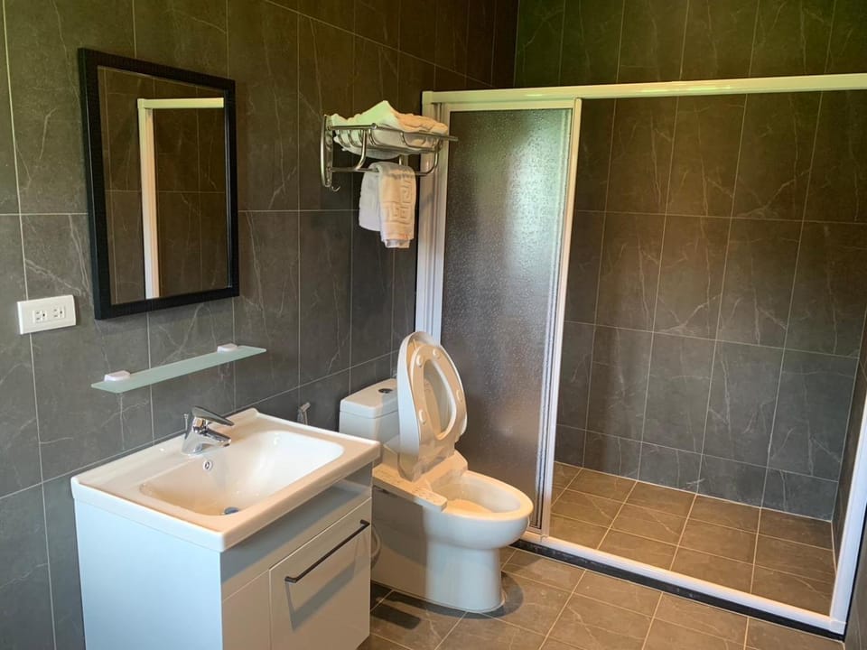 Shower, Toilet, Bathroom, towels