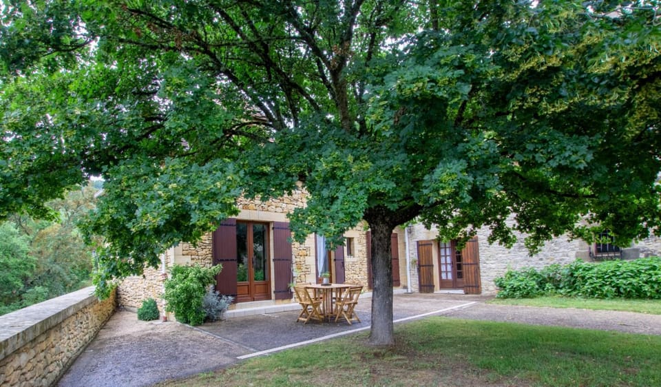 Property building, Garden view