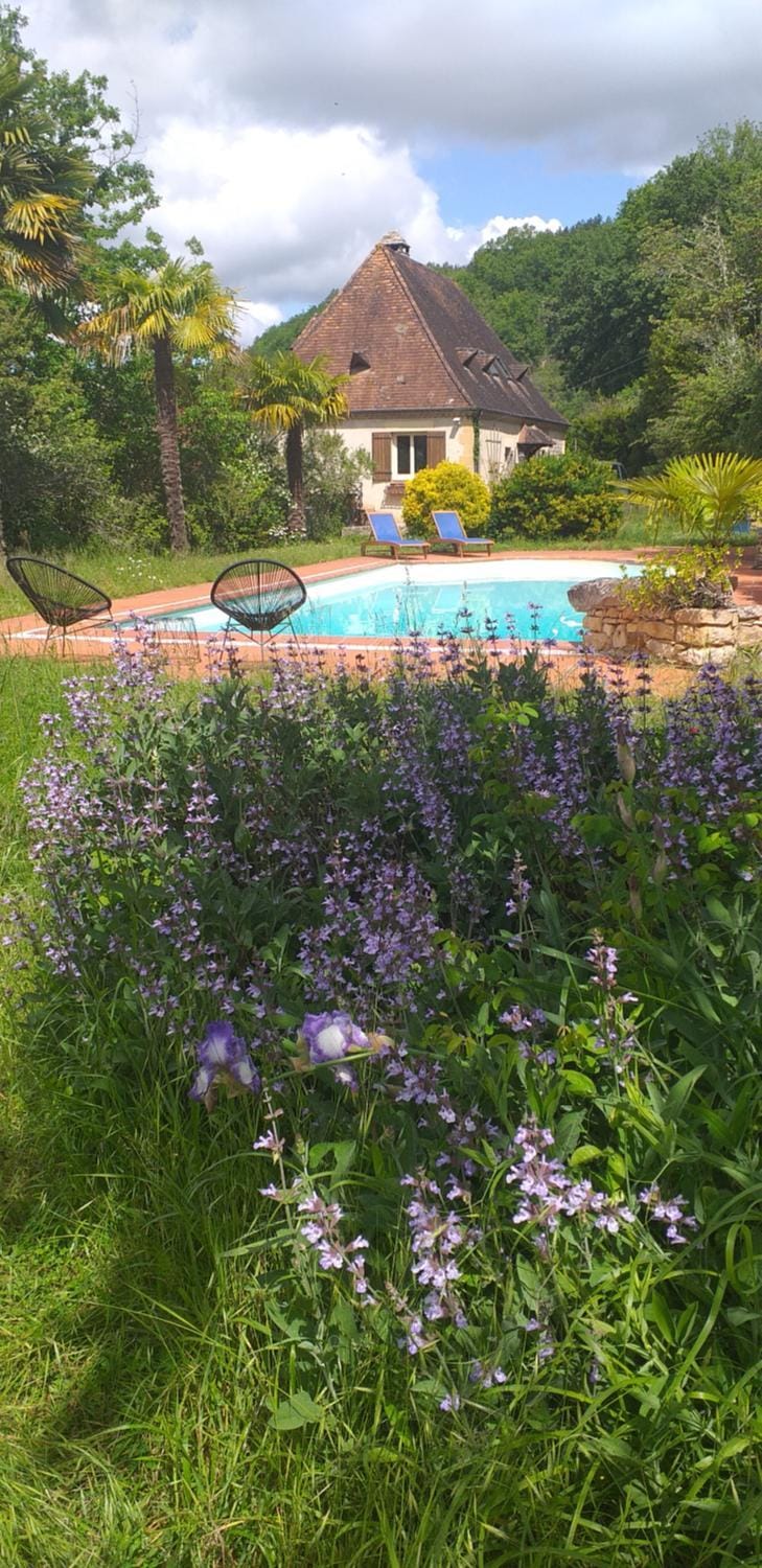 Natural landscape, Garden, Swimming pool