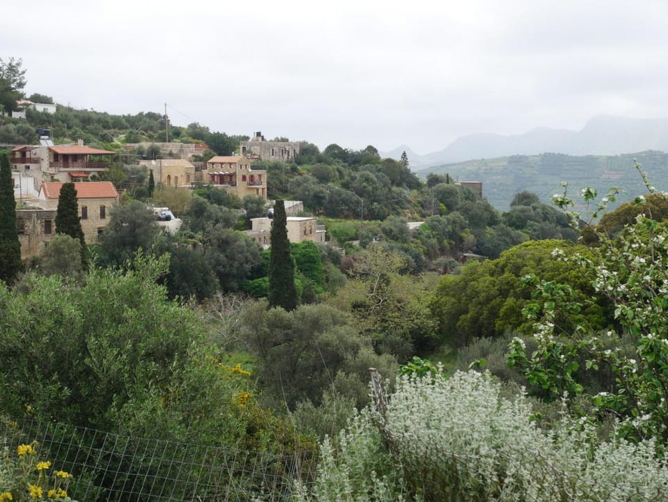 Neighbourhood, City view