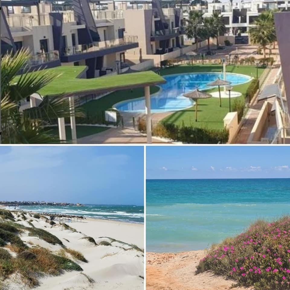 Higuericas Costa 222 Härlig takterrass med havsutsikt - Pool och 250m till stranden Apartment in Vega Baja del Segura