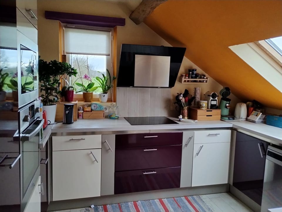 Coffee/tea facilities, Kitchen or kitchenette, dishwasher, minibar, stove