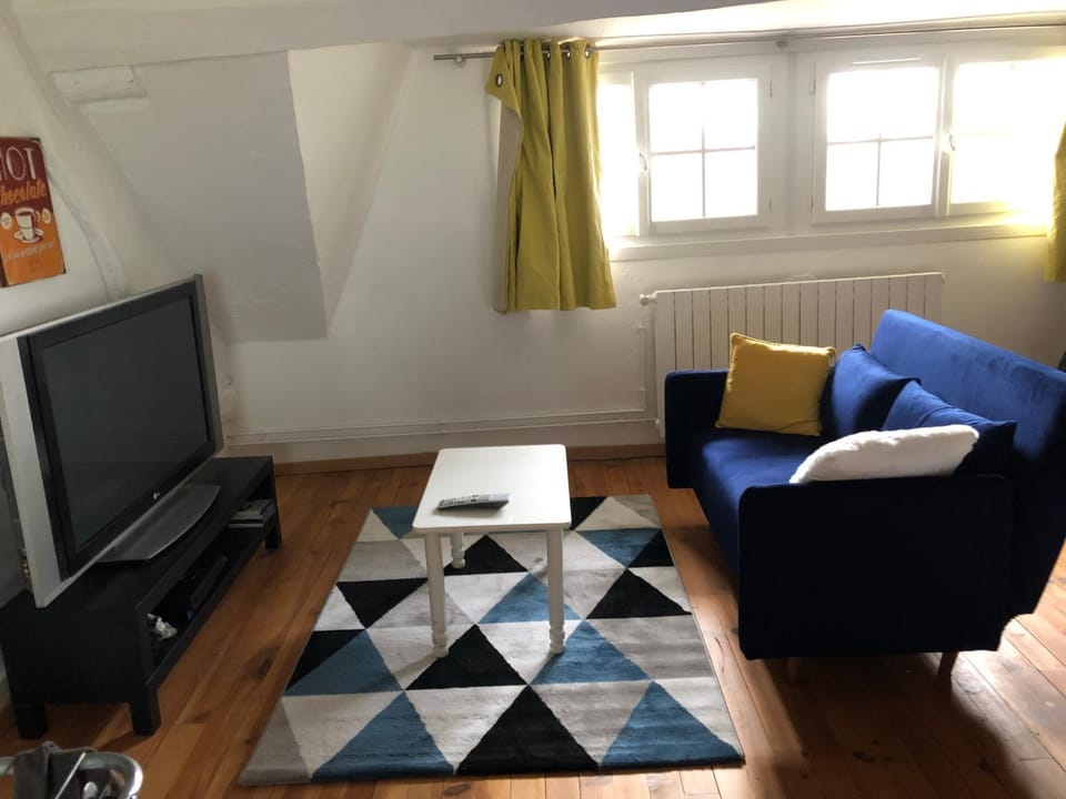 Grande chambre avec salle de bain et WC privés Vacation rental in Centre-Val de Loire
