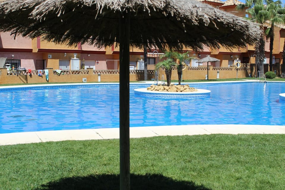 Day, Garden, Swimming pool