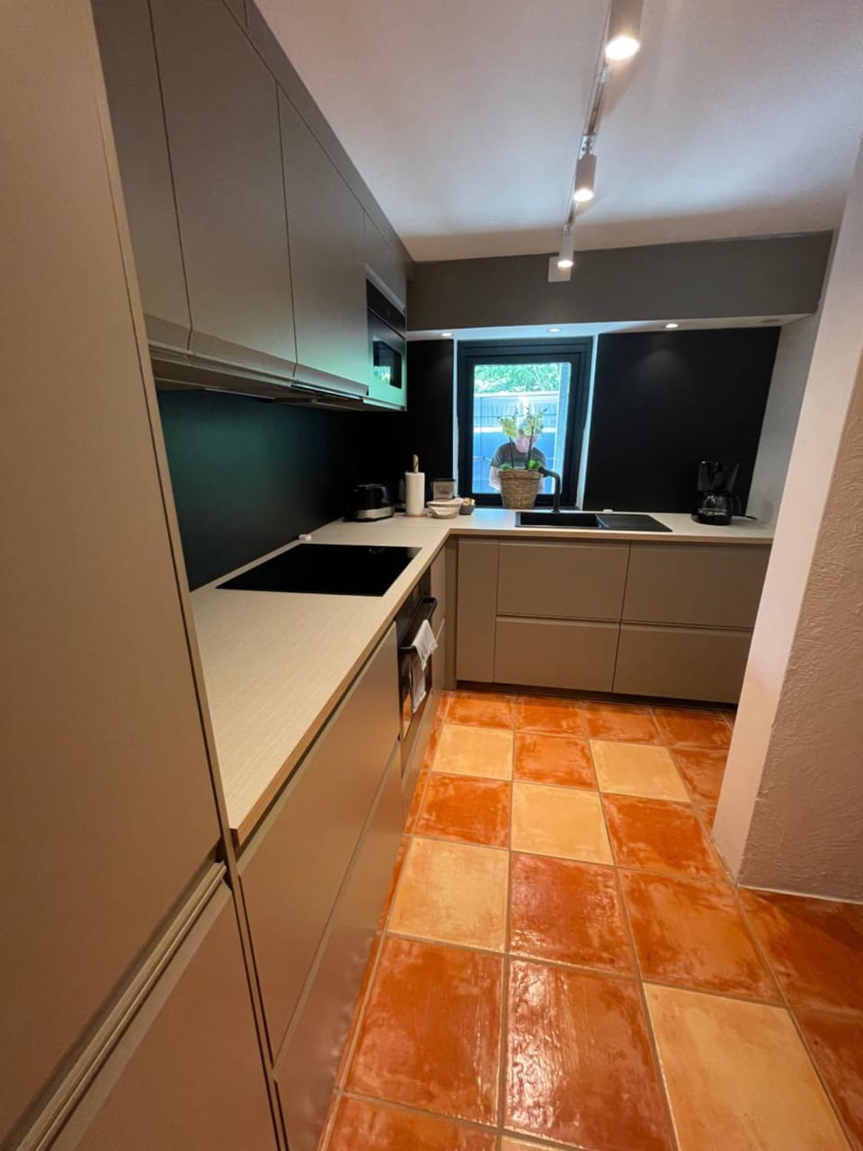 Kitchen or kitchenette, minibar, pet friendly, stove