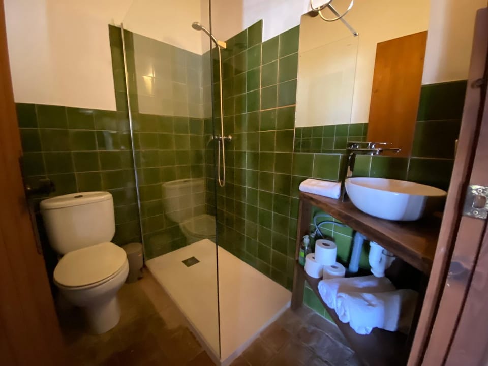 Shower, Toilet, Bathroom, towels