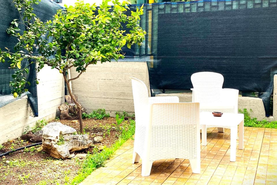Patio, Spring, Garden, Garden view