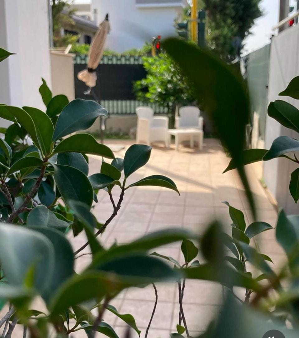 Property building, Garden view