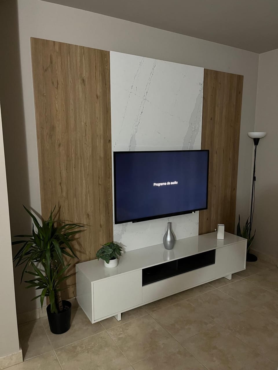 TV and multimedia