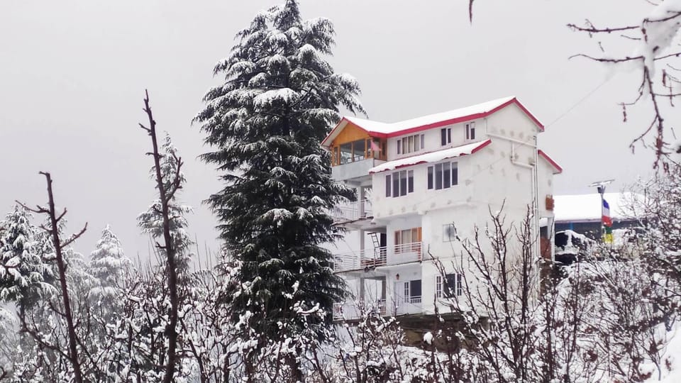 Property building, Winter