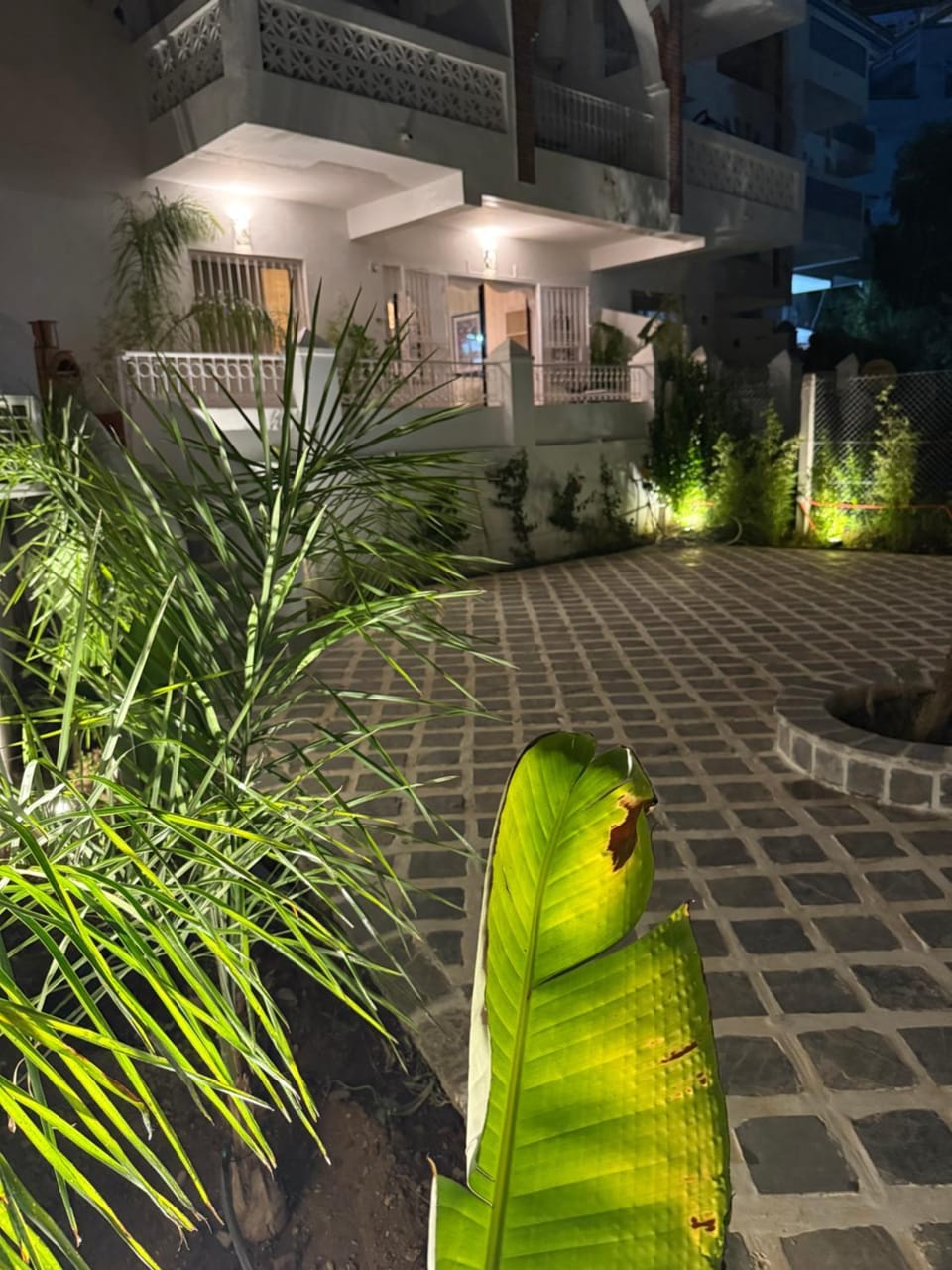 Patio, Night, Garden, Garden view