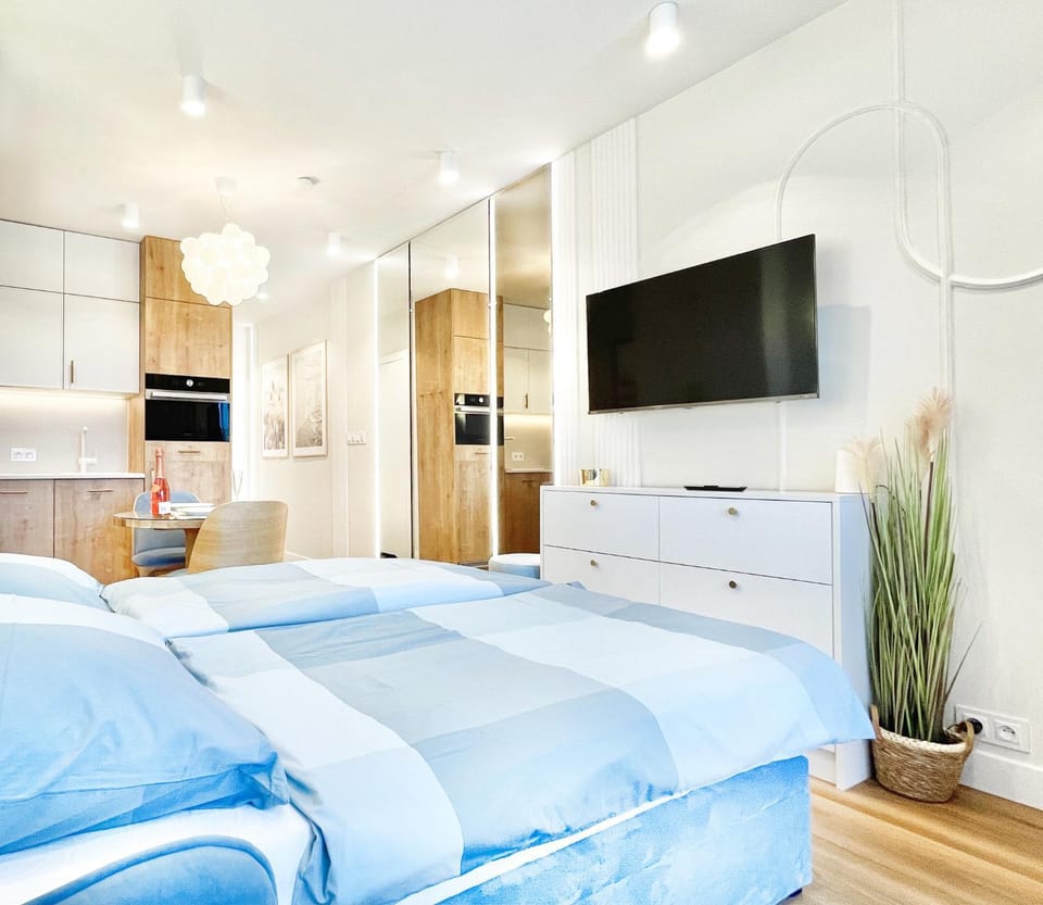 Bed, TV and multimedia, Kitchen or kitchenette, Living room, Photo of the whole room, Seating area, Evening entertainment, Bedroom