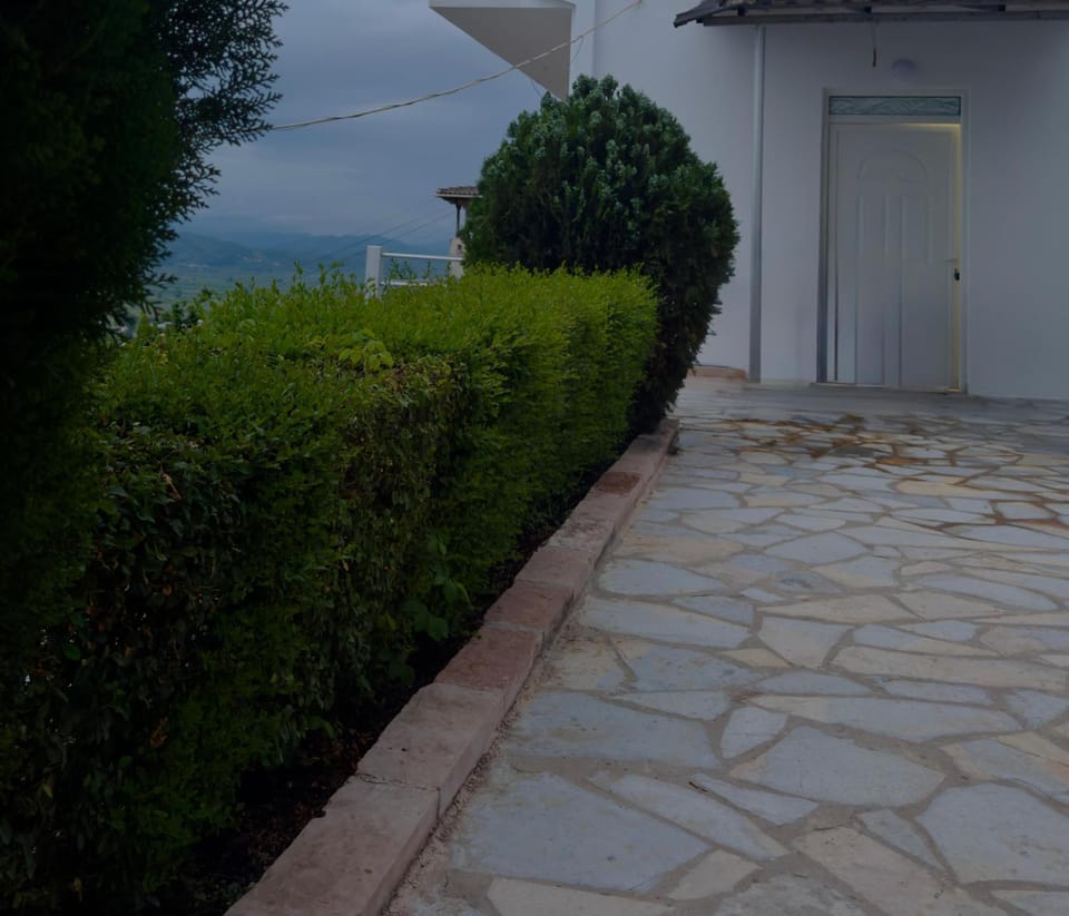 Property building, Garden, Garden view