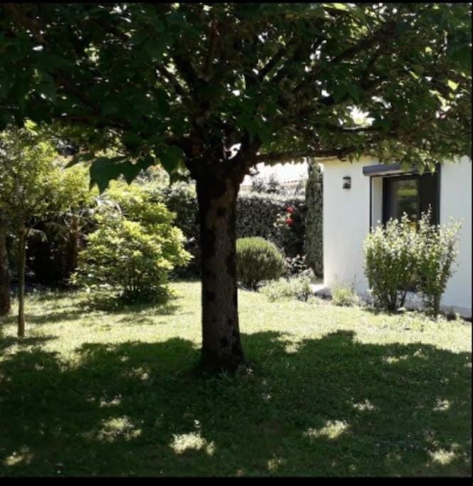 cap belle étoile Apartment in La Rochelle