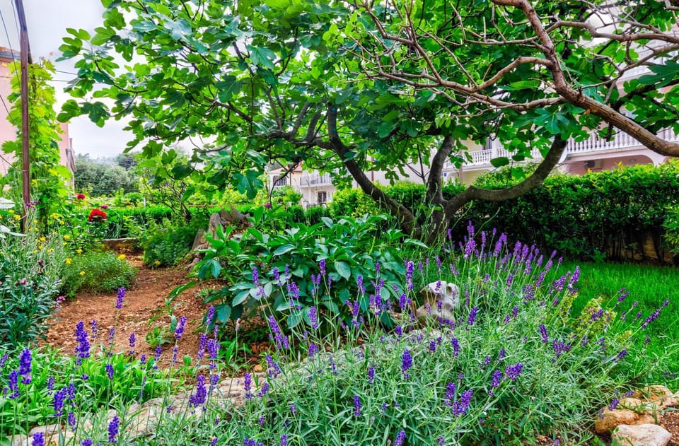 Property building, Day, Garden, Parking