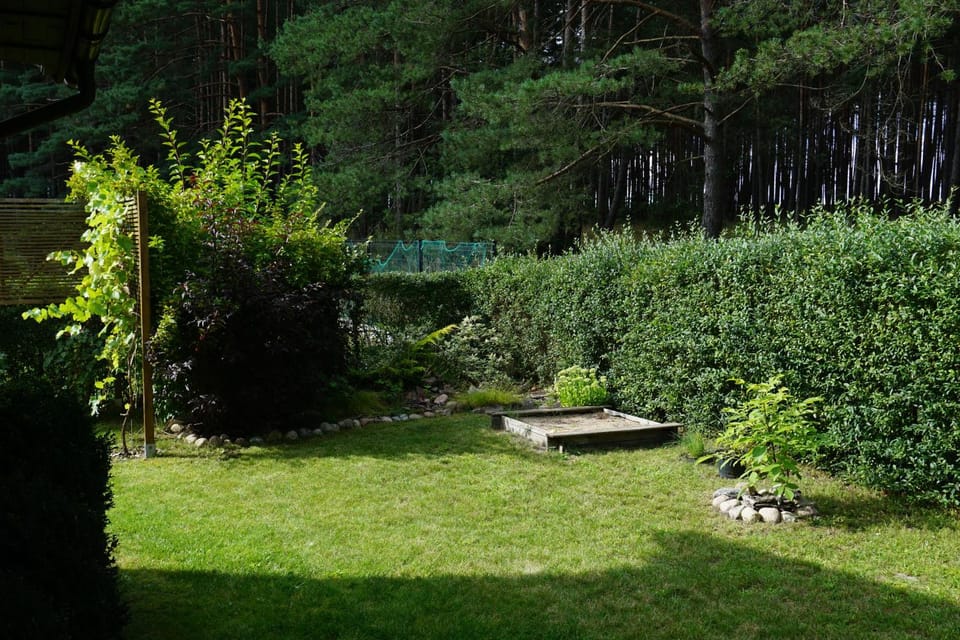 Natural landscape, Garden view