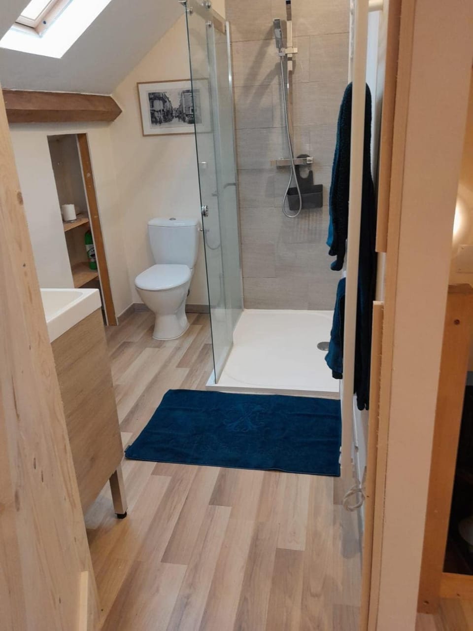 Shower, Toilet, Bathroom