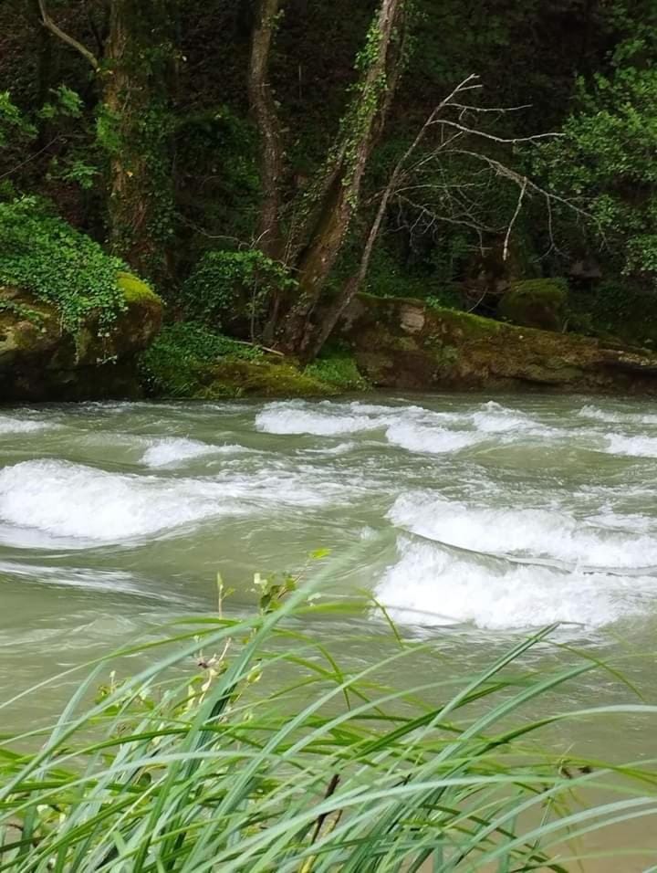 River view