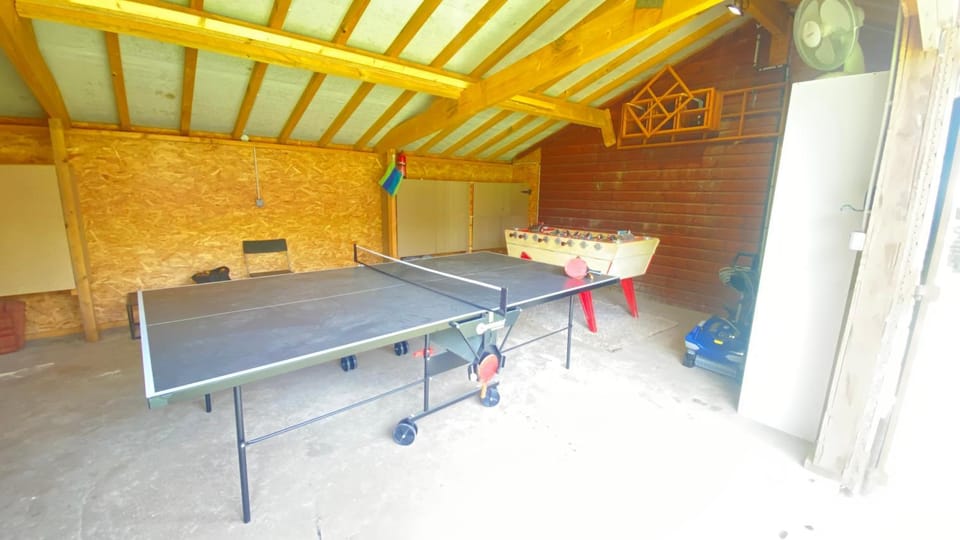 Game Room, Table tennis
