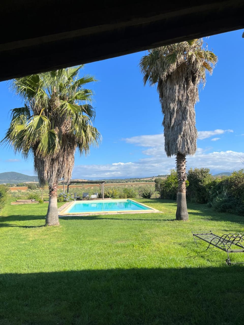 Garden, Swimming pool