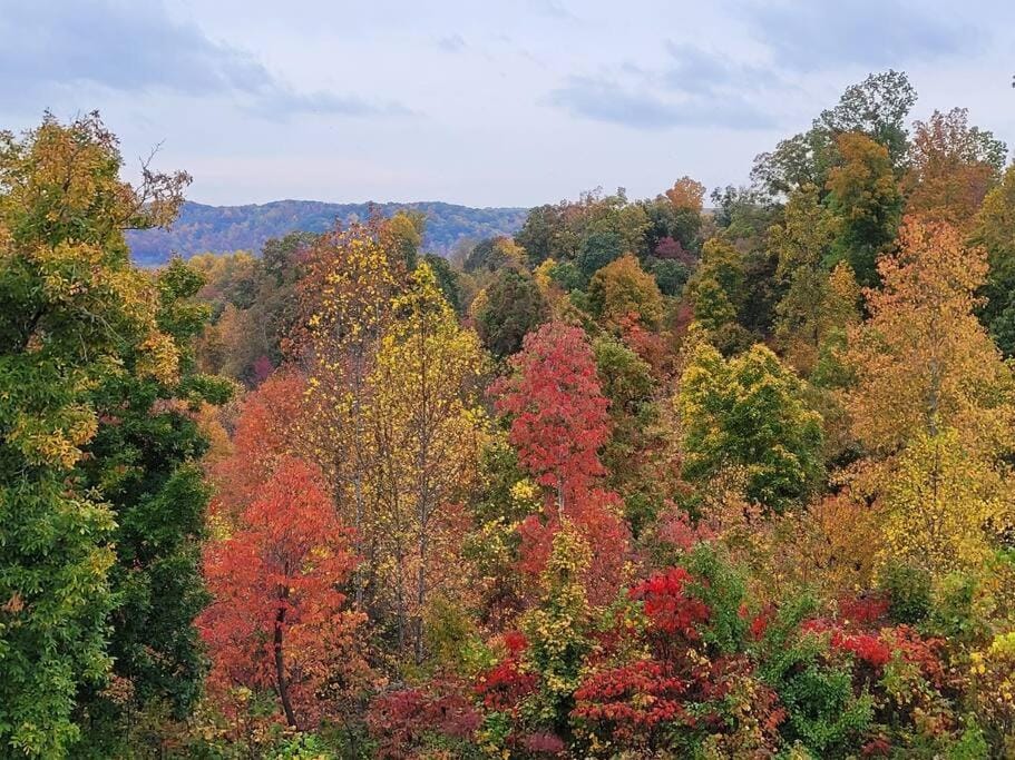 GREAT Little Guest Suite with Private Entry & Deck! Pet Friendly & 30 Mins to Nashville! Vacation rental in Tennessee