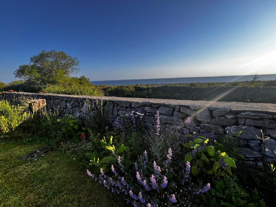 Oranuisce Thatch Cottage Ballyvaughan House in County Clare