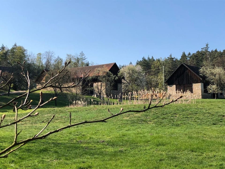 Spring