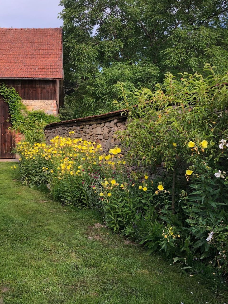 Garden view