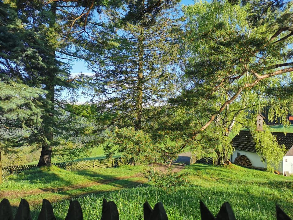 Garden, Garden view