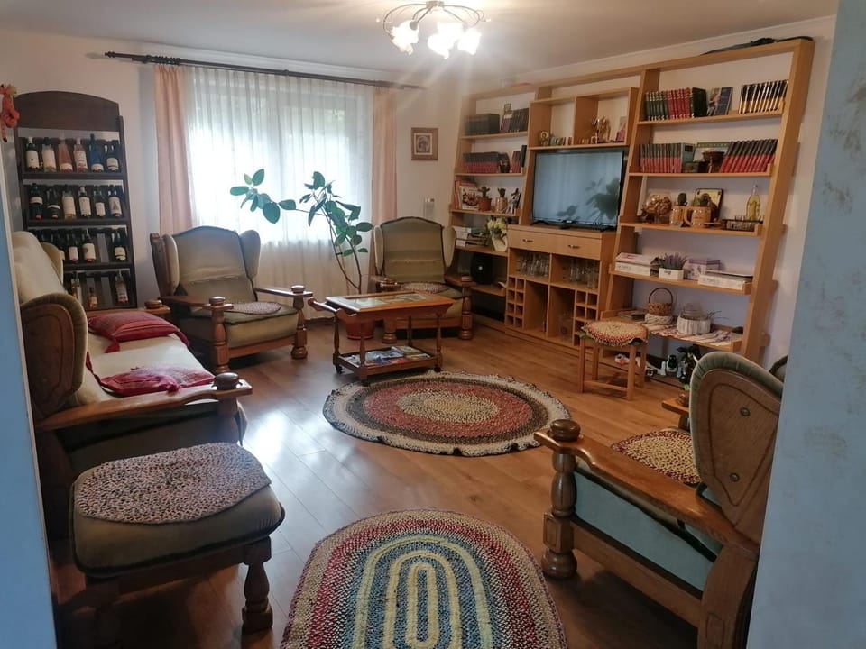 VoroLand House in Romania