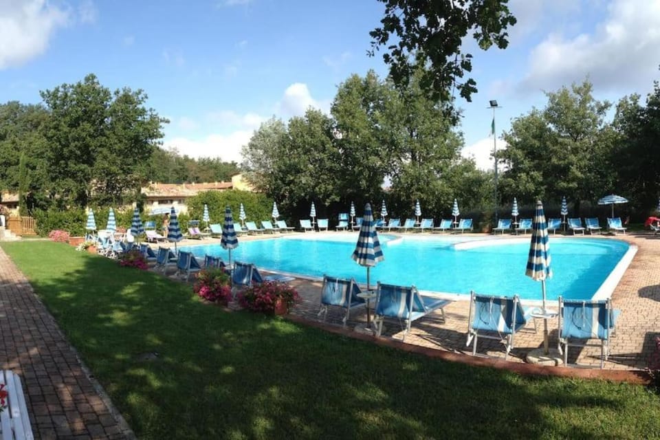 Natural landscape, Garden, Pool view, Swimming pool, sunbed
