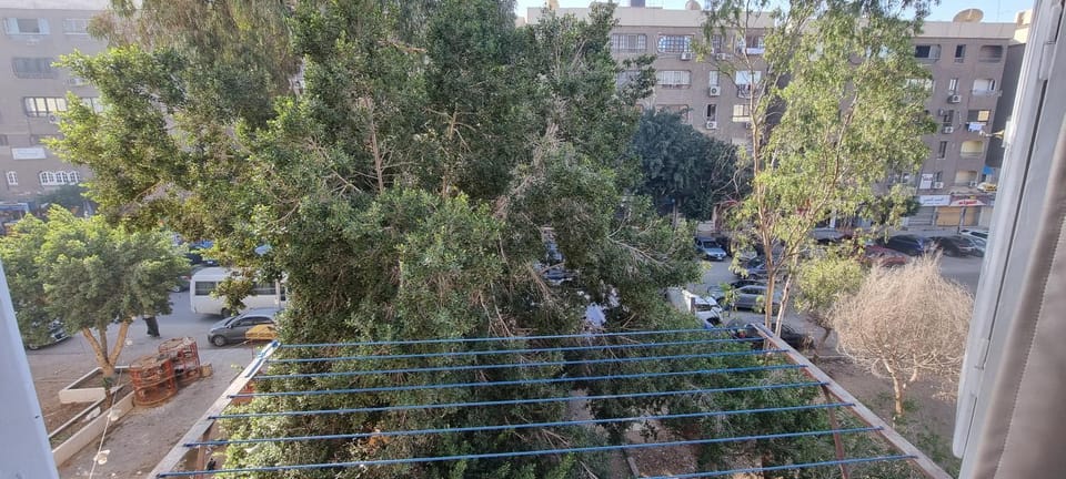 Spring, Day, Neighbourhood, Balcony/Terrace, City view, Street view, Location, Parking