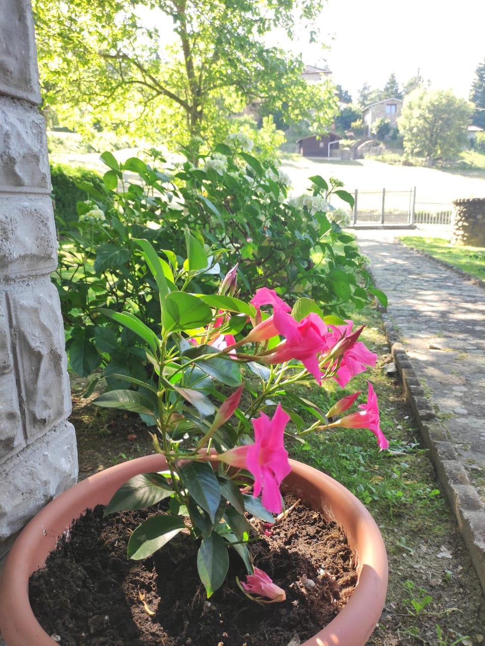 Villetta con giardino House in Emilia-Romagna