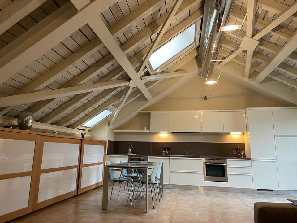 Central, big terrace, near river Apartment in Timisoara