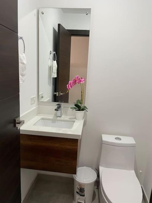 Elegante Suite en la República del Salvador Quito Apartment in Quito