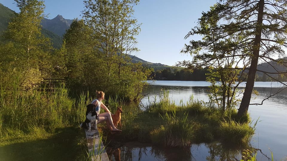 Natural landscape, Activities, Beach, Pets