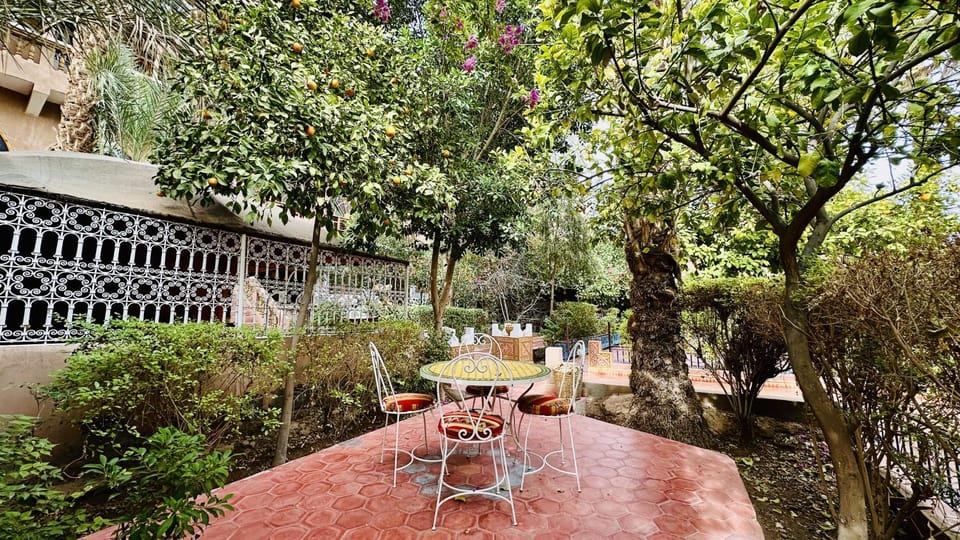 Spring, Day, Natural landscape, Garden, Garden view