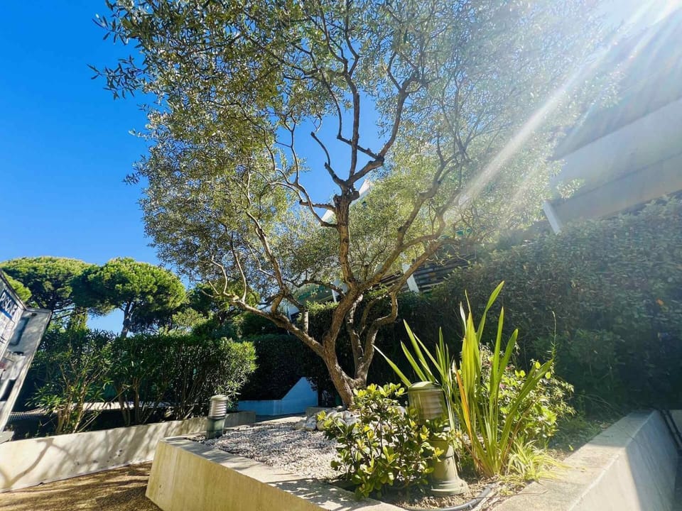 Villegiales Tee1 - Appartement dans résidence avec piscine MAE-1184 Apartment in La Grande-Motte