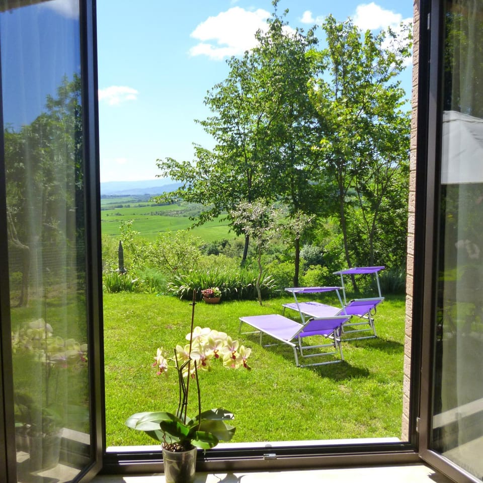 Natural landscape, Garden view, sunbed