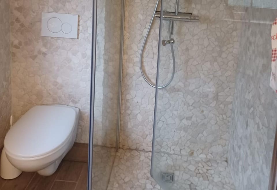 Shower, Toilet