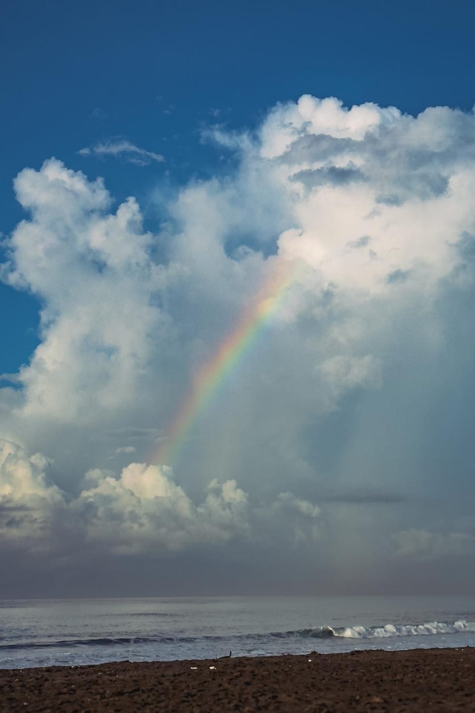 Day, Natural landscape, Beach