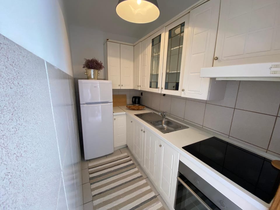 Kitchen or kitchenette, pet friendly