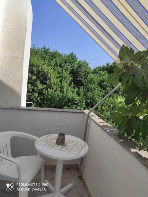 Dolphins Apartment in Decentralized Administration of the Aegean